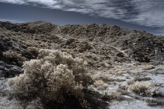 INFRARED_ANZA_BORREGO_695_DEC_01_2019-45_FINAL_06