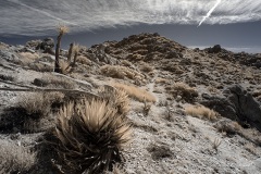 INFRARED_ANZA_BORREGO_695_DEC_01_2019-46_FINAL_06