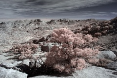 INFRARED_ANZA_BORREGO_695_DEC_01_2019-56_FINAL_10
