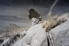 INFRARED_ANZA_BORREGO_695_DEC_01_2019-66_FINAL_06