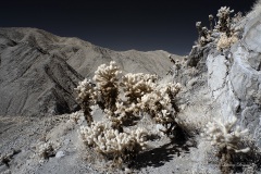 INFRARED_ANZA_BORREGO_695_NOV_24_2019-39_FINAL_06
