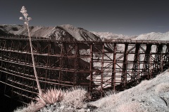 INFRARED_ANZA_BORREGO_695_NOV_24_2019-48_FINAL_10