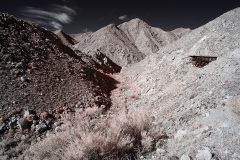 INFRARED_ANZA_BORREGO_695_NOV_24_2019-5_FINAL_10