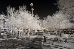 INFRARED_ANZA_BORREGO_DEC_15_2019_720-2_FINAL_06