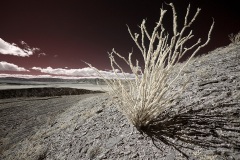 INFRARED_ANZA_BORREGO_FEB09_2019_720-16_FINAL_01