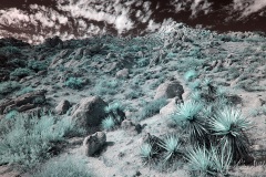 INFRARED_ANZA_BORREGO_NOV_02_2019_695-41_FINAL_03S
