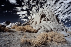 INFRARED_ANZA_BORREGO_NOV_02_2019_695-282_FINAL_06