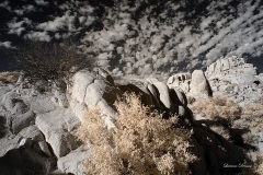 INFRARED_ANZA_BORREGO_NOV_02_2019_695-291_FINAL_06