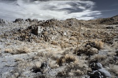 INFRARED_ANZA_BORREGO_NOV_10_2019_695-18_FINAL_06