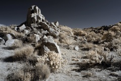 INFRARED_ANZA_BORREGO_NOV_10_2019_695-65_FINAL_06