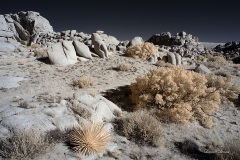 INFRARED_ANZA_BORREGO_NOV_10_2019_695-86_FINAL_06