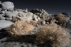 INFRARED_ANZA_BORREGO_NOV_10_2019_695-92_FINAL_06