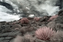 INFRARED_ANZA_BORREGO_OCT_06_2018_100-12_FINAL_0