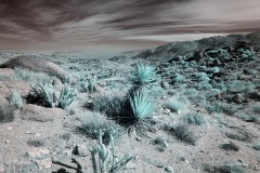 INFRARED_ANZA_BORREGO_OCT_27_2019_695-108_FINAL_03S