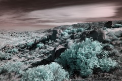 INFRARED_ANZA_BORREGO_OCT_27_2019_695-130_FINAL_03S