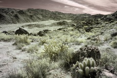 INFRARED_ANZA_BORREGO_OCT_27_2019_695-152_FINAL_08S