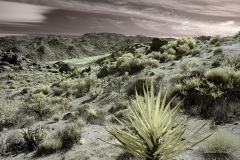 INFRARED_ANZA_BORREGO_OCT_27_2019_695-173_FINAL_08S