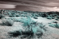 INFRARED_ANZA_BORREGO_OCT_27_2019_695-183_FINAL_03S