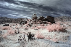 INFRARED_ANZA_BORREGO_OCT_27_2019_695-41_FINAL_10