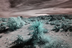 INFRARED_ANZA_BORREGO_OCT_27_2019_695-52_FINAL_03S