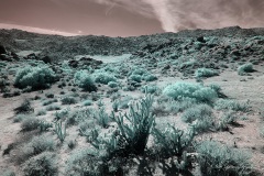 INFRARED_ANZA_BORREGO_OCT_27_2019_695-64_FINAL_03S