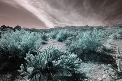 INFRARED_ANZA_BORREGO_OCT_27_2019_695-98_FINAL_03S