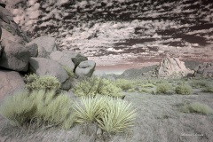 INFRARED_ANZA_BORREGO_NOV_02_2019_695-241_FINAL_08S