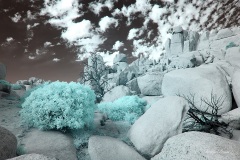 INFRARED_ANZA_BORREGO_NOV_02_2019_695-267_FINAL_03S