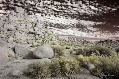 INFRARED_ANZA_BORREGO_NOV_02_2019_695-269_FINAL_08S