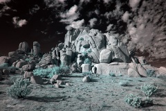 INFRARED_ANZA_BORREGO_NOV_02_2019_695-272_FINAL_03S