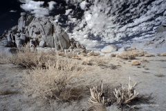 INFRARED_ANZA_BORREGO_NOV_02_2019_695-275_FINAL_06