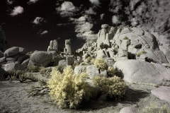 INFRARED_ANZA_BORREGO_NOV_02_2019_695-280_FINAL_08S