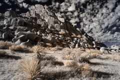 INFRARED_ANZA_BORREGO_NOV_02_2019_695-283_FINAL_06