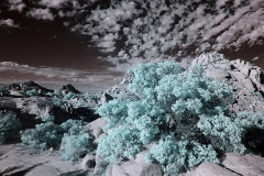 INFRARED_ANZA_BORREGO_NOV_02_2019_695-289_FINAL_03S