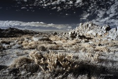 INFRARED_ANZA_BORREGO_NOV_02_2019_695-299_FINAL_06