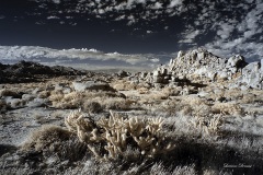 INFRARED_ANZA_BORREGO_NOV_02_2019_695-299_FINAL_06