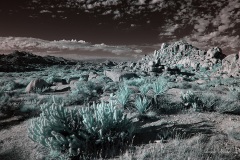 INFRARED_ANZA_BORREGO_NOV_02_2019_695-301_FINAL_03S