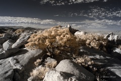 INFRARED_ANZA_BORREGO_NOV_02_2019_695-313_FINAL_06