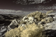 INFRARED_ANZA_BORREGO_NOV_02_2019_695-316_FINAL_08S