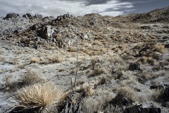 INFRARED_ANZA_BORREGO_NOV_10_2019_695-20_FINAL_06