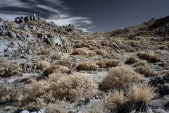INFRARED_ANZA_BORREGO_NOV_10_2019_695-32_FINAL_06