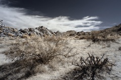 INFRARED_ANZA_BORREGO_NOV_10_2019_695-5_FINAL_06