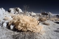 INFRARED_ANZA_BORREGO_NOV_10_2019_695-85_FINAL_06