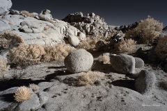 INFRARED_ANZA_BORREGO_NOV_10_2019_695-93_FINAL_06