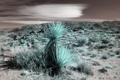 INFRARED_ANZA_BORREGO_OCT_27_2019_695-111_FINAL_03S