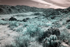 INFRARED_ANZA_BORREGO_OCT_27_2019_695-152_FINAL_03S