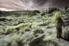 INFRARED_ANZA_BORREGO_OCT_27_2019_695-168_FINAL_08S