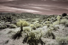 INFRARED_ANZA_BORREGO_OCT_27_2019_695-55_FINAL_08S