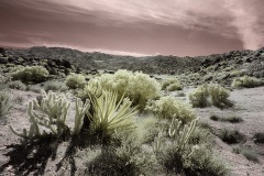 INFRARED_ANZA_BORREGO_OCT_27_2019_695-63_FINAL_08S