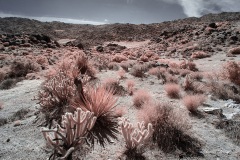 INFRARED_ANZA_BORREGO_OCT_27_2019_695-66_FINAL_10